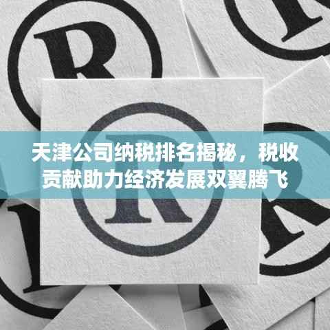 天津公司纳税排名揭秘,税收贡献助力经济发展双翼腾飞
