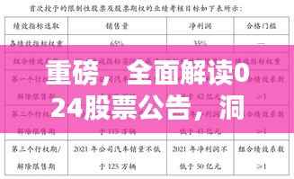重磅,全面解读024股票公告,洞悉股市动态!