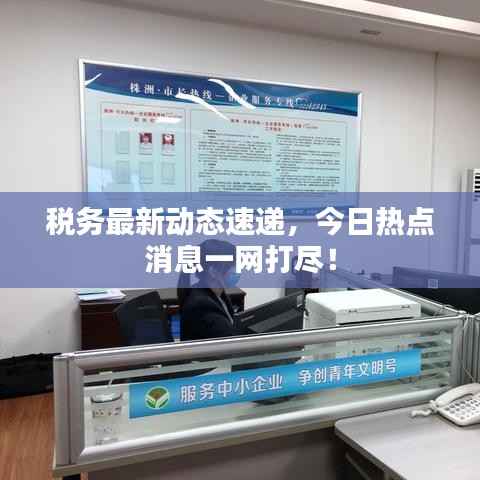 税务最新动态速递,今日热点消息一网打尽!