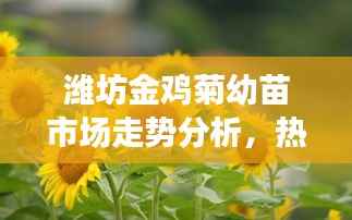 草间求活 第3页