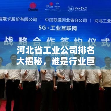 河北省工业公司排名大揭秘，谁是行业巨头？