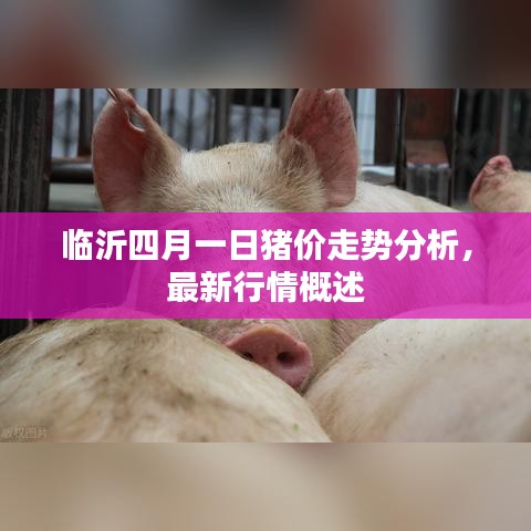 临沂四月一日猪价走势分析，最新行情概述