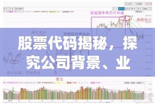 股票代码揭秘,探究公司背景、业绩与未来展望——002663公司深度解析