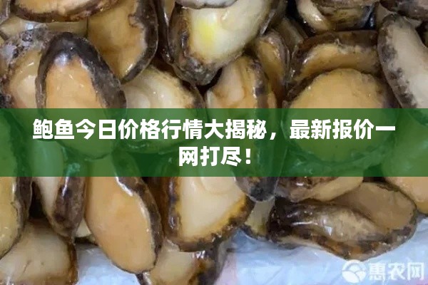 翰飞戾天 第3页