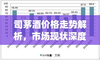 司茅酒价格走势解析，市场现状深度剖析与未来趋势预测