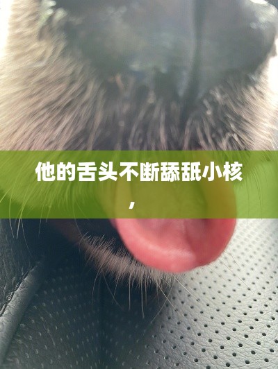 他的舌头不断舔舐小核， 