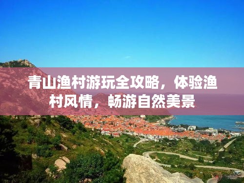 青山渔村游玩全攻略,体验渔村风情,畅游自然美景
