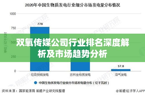 双氧传媒公司行业排名深度解析及市场趋势分析