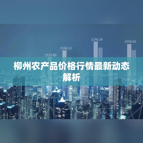 柳州农产品价格行情最新动态解析