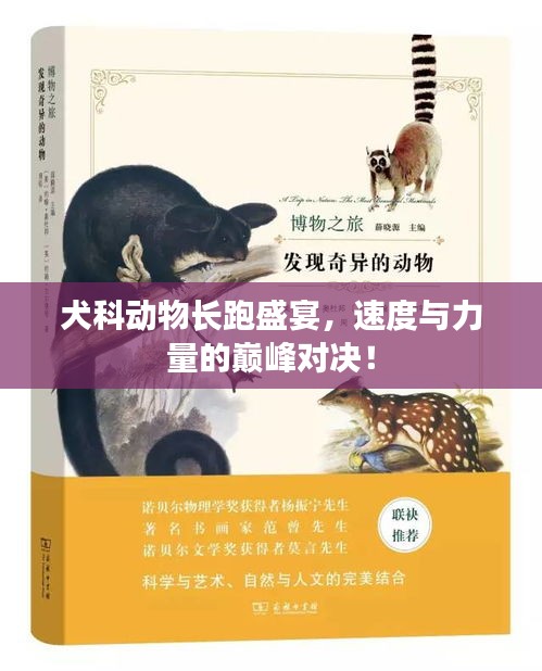 犬科动物长跑盛宴，速度与力量的巅峰对决！