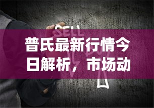 择善而从 第2页