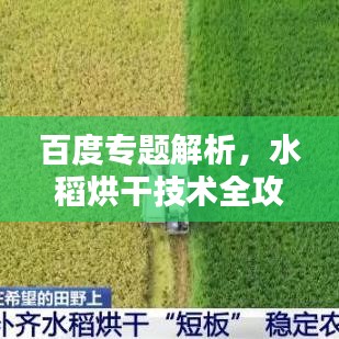 百度专题解析,水稻烘干技术全攻略