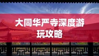 飞龙在天