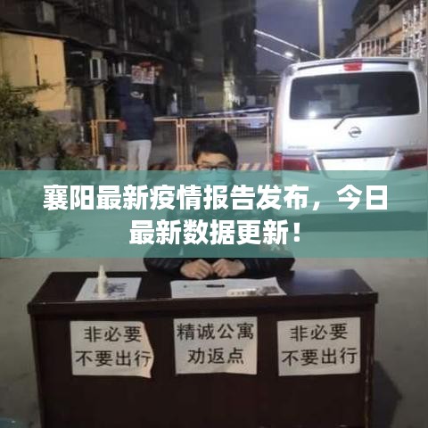 襄阳最新疫情报告发布,今日最新数据更新!