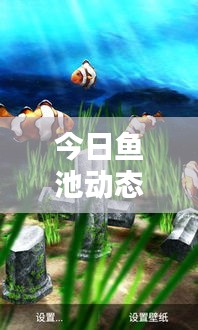 小鸟伊人 第2页