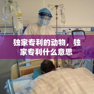 独家专利的动物,独家专利什么意思