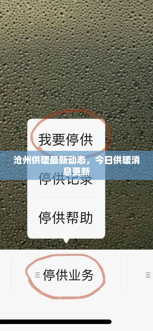 沧州供暖最新动态,今日供暖消息更新