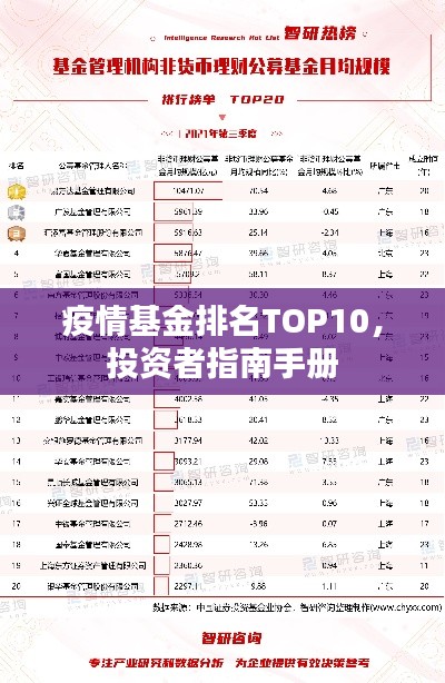 疫情基金排名TOP10,投资者指南手册