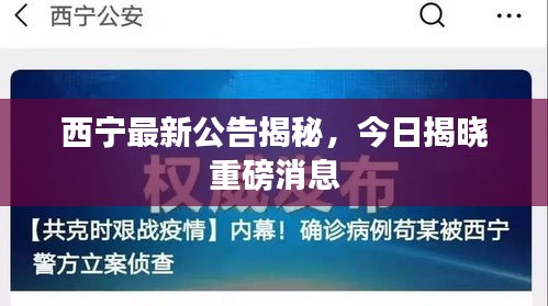 西宁最新公告揭秘,今日揭晓重磅消息