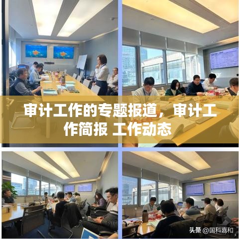 审计工作的专题报道，审计工作简报 工作动态 