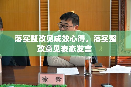 落实整改见成效心得,落实整改意见表态发言