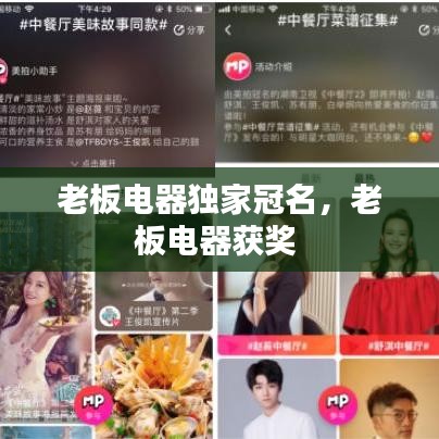 老板电器独家冠名，老板电器获奖 
