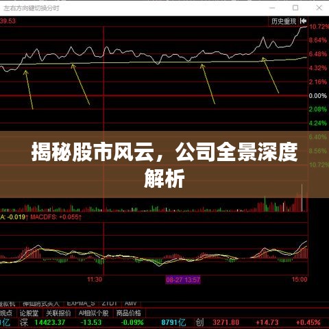 揭秘股市风云，公司全景深度解析