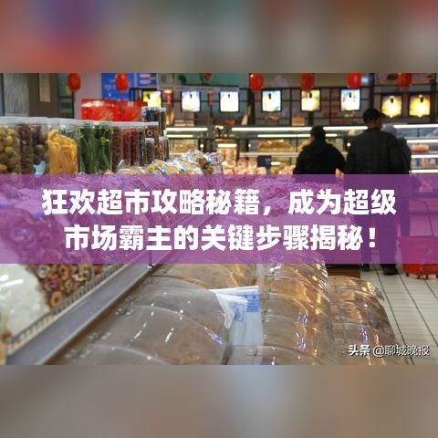 狂欢超市攻略秘籍,成为超级市场霸主的关键步骤揭秘!