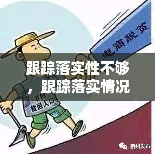 跟踪落实性不够，跟踪落实情况 