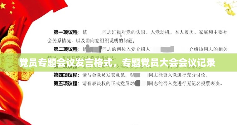 党员专题会议发言格式,专题党员大会会议记录
