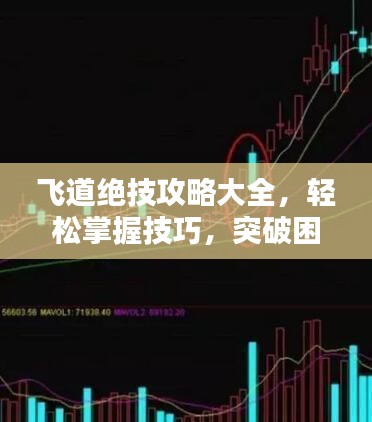 飞道绝技攻略大全,轻松掌握技巧,突破困境!