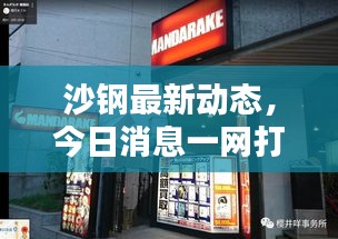 沙钢最新动态,今日消息一网打尽!