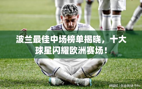 波兰最佳中场榜单揭晓,十大球星闪耀欧洲赛场!