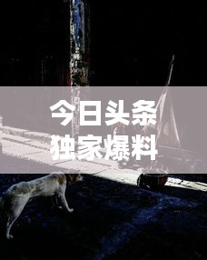 今日头条独家爆料，佳木斯最新动态一网打尽