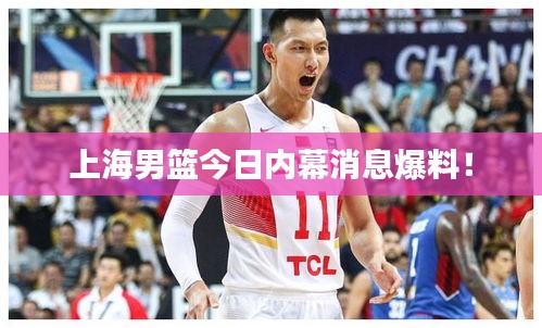 上海男篮今日内幕消息爆料!