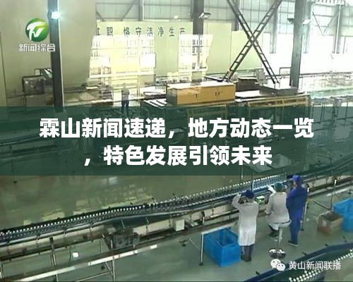 霖山新闻速递,地方动态一览,特色发展引领未来