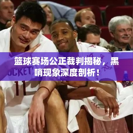 篮球赛场公正裁判揭秘，黑哨现象深度剖析！