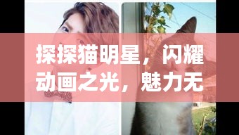 定谋贵决