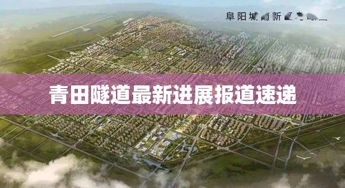 青田隧道最新进展报道速递