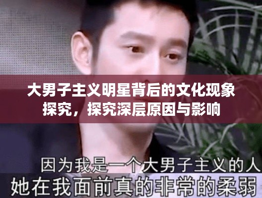 大男子主义明星背后的文化现象探究,探究深层原因与影响